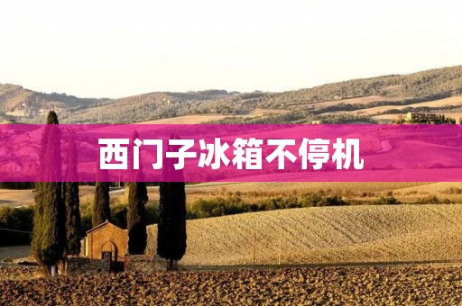 西门子冰箱不停机：原因分析和解决方案