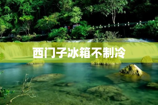 西门子冰箱不制冷：故障原因分析及解决方法