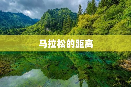 马拉松的距离：挑战与成就