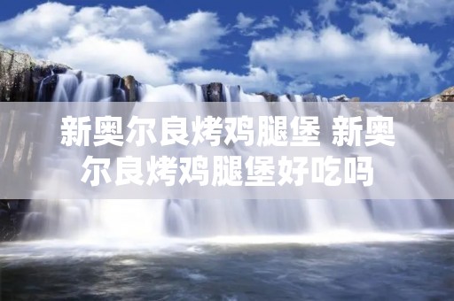 新奥尔良烤鸡腿堡 新奥尔良烤鸡腿堡好吃吗