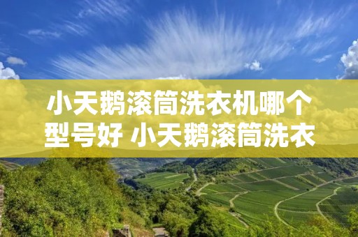 小天鹅滚筒洗衣机哪个型号好 小天鹅滚筒洗衣机哪种型号的好