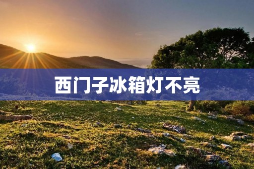 西门子冰箱灯不亮:原因与解决方法 西门子冰箱灯不亮:原因与解决方法