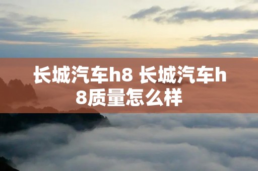 长城汽车h8 长城汽车h8质量怎么样 长城汽车h8 长城汽车h8质量怎么样