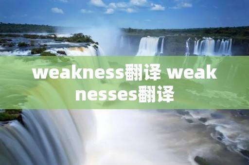 weakness翻译 weaknesses翻译