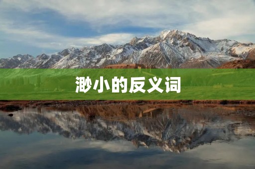 渺小的反义词:巨大