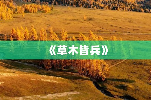 《草木皆兵》：一个普通人的战争