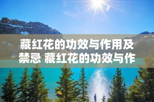 藏红花的功效与作用及禁忌 藏红花的功效与作用及禁忌 藏红花怎么吃