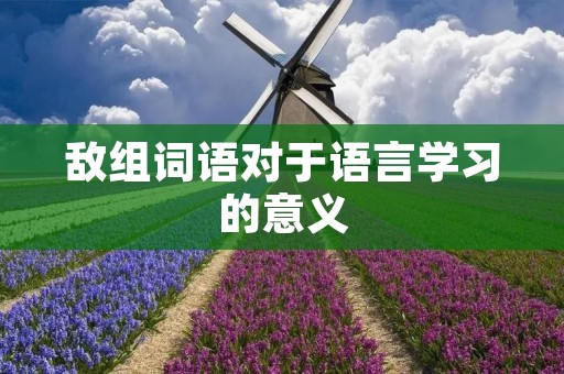 敌组词语对于语言学习的意义 敌组词语对于语言学习的意义