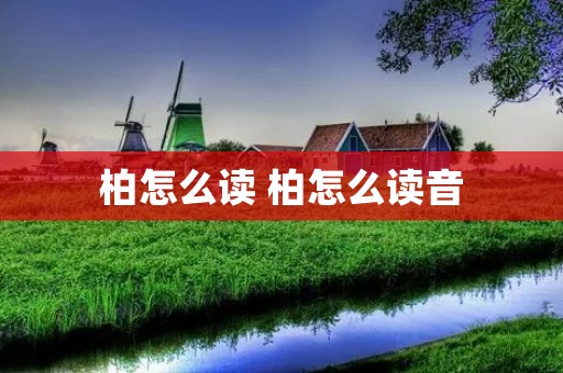 柏怎么读 柏怎么读音