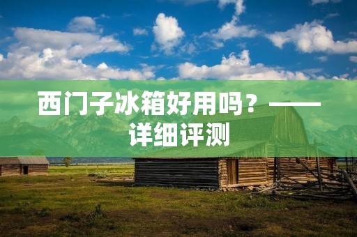 西门子冰箱好用吗?——详细评测 西门子冰箱好用吗?——详细评测