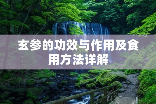 玄参的功效与作用及食用方法详解