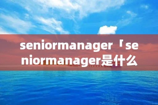 seniormanager「seniormanager是什么意思」