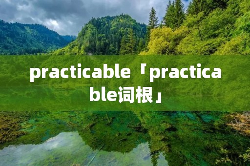 practicable「practicable词根」