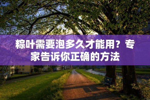 粽叶需要泡多久才能用？专家告诉你正确的方法