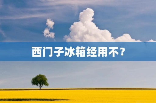 西门子冰箱经用不？