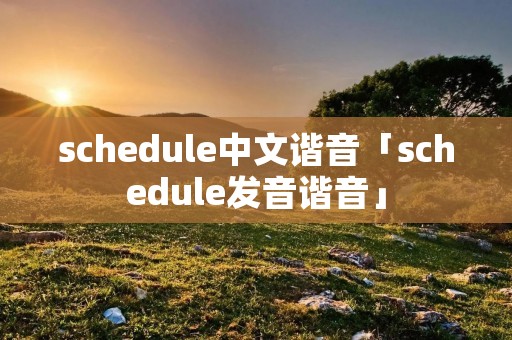 schedule中文谐音「schedule发音谐音」 schedule中文谐音「schedule发音谐音」
