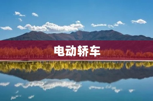 电动轿车:未来城市出行的首选 电动轿车:未来城市出行的首选