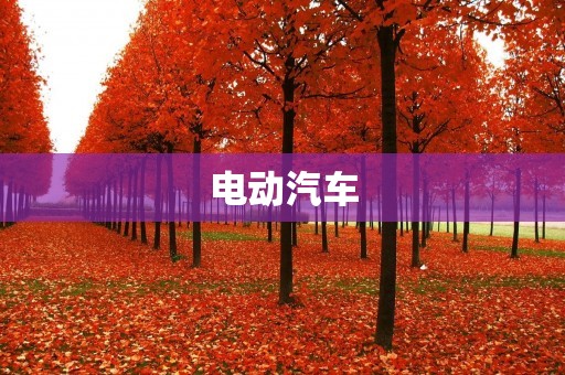电动汽车：未来出行的新选择
