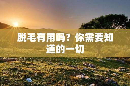 脱毛有用吗?你需要知道的一切 脱毛有用吗?你需要知道的一切