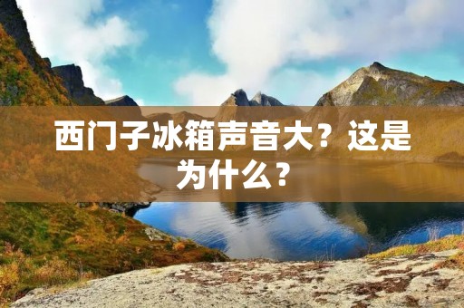 西门子冰箱声音大?这是为什么? 西门子冰箱声音大?这是为什么?