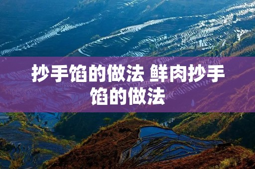 抄手馅的做法 鲜肉抄手馅的做法