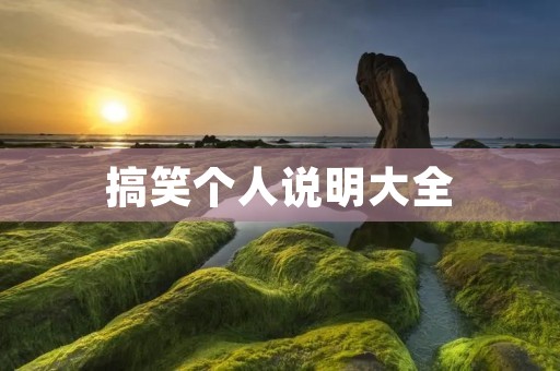 搞笑个人说明大全：让你轻松一笑