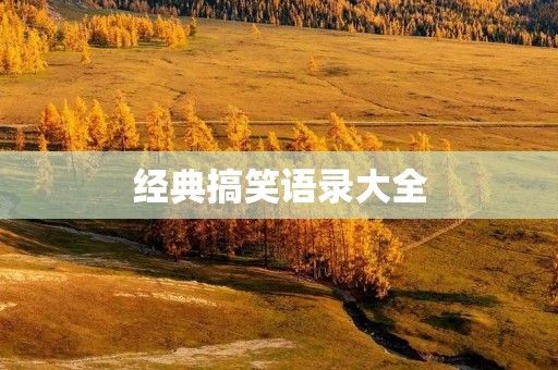 经典搞笑语录大全：让你笑到停不下来！