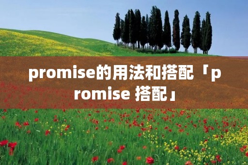 promise的用法和搭配「promise 搭配」