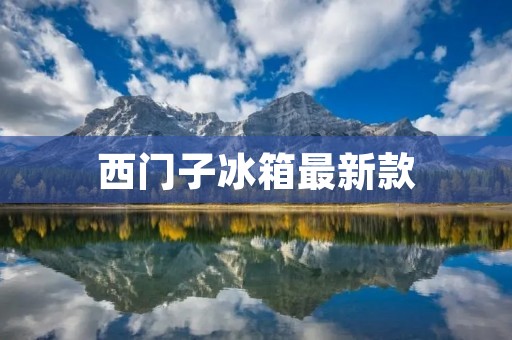 西门子冰箱最新款：品质与科技的完美结合