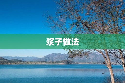 浆子做法:传统美食的制作方法 浆子做法:传统美食的制作方法