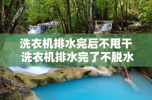 洗衣机排水完后不甩干 洗衣机排水完了不脱水
