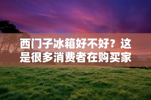 西门子冰箱好不好？这是很多消费者在购买家电时经常会考虑的问题。作为一家颇具实力的德国品牌，西门子的产品品质一直都备受消费者的青睐。那么，西门子的冰箱是否也是一样的好呢？接下来，我们将从品质、性能、设计等方面为大家详细解析。