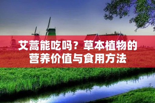 艾蒿能吃吗?草本植物的营养价值与食用方法 艾蒿能吃吗?草本植物的营养价值与食用方法