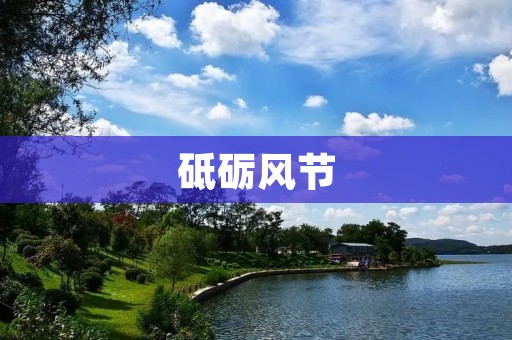 砥砺风节：民族文化的传承与创新