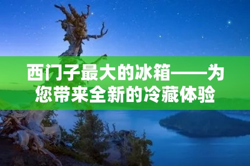 西门子最大的冰箱——为您带来全新的冷藏体验 西门子最大的冰箱——为您带来全新的冷藏体验