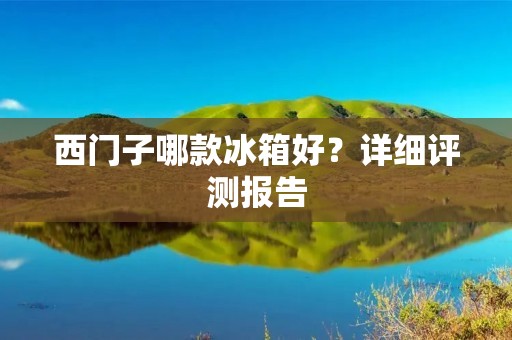 西门子哪款冰箱好?详细评测报告 西门子哪款冰箱好?详细评测报告