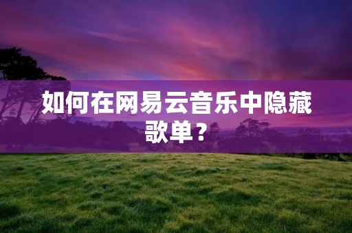 如何在网易云音乐中隐藏歌单? 如何在网易云音乐中隐藏歌单?