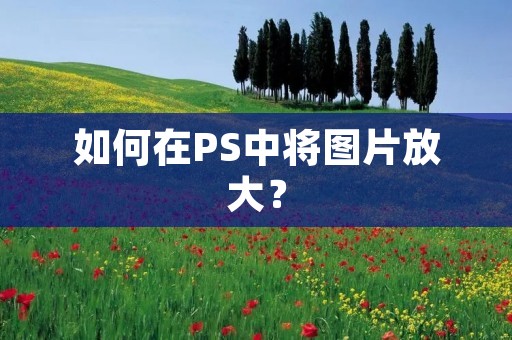 如何在PS中将图片放大？