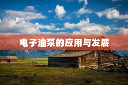 电子油泵的应用与发展 电子油泵的应用与发展