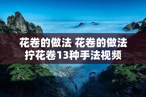 花卷的做法 花卷的做法拧花卷13种手法视频 花卷的做法 花卷的做法拧花卷13种手法视频