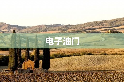 电子油门:未来汽车行业的发展方向 电子油门:未来汽车行业的发展方向