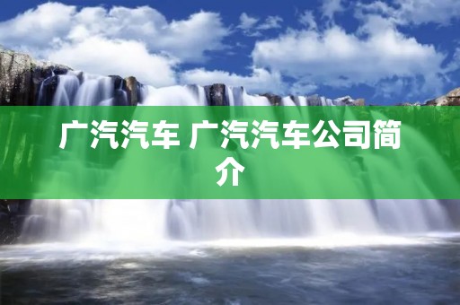 广汽汽车 广汽汽车公司简介