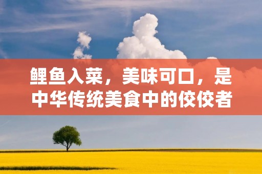 鲤鱼入菜,美味可口,是中华传统美食中的佼佼者。下面为大家介绍几种鲤鱼的做法,让您在家中也能品尝到地道的鲤鱼美食。 鲤鱼入菜,美味可口,是中华传统美食中的佼佼者。下面为大家介绍几种鲤鱼的做法,让您在家中也能品尝到地道的鲤鱼美食。