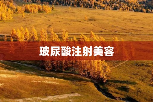 玻尿酸注射美容：好不好？
