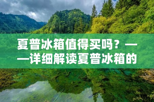 夏普冰箱值得买吗?——详细解读夏普冰箱的特点与优势 夏普冰箱值得买吗?——详细解读夏普冰箱的特点与优势