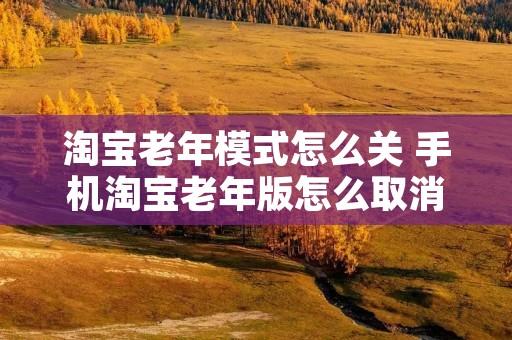 淘宝老年模式怎么关 手机淘宝老年版怎么取消