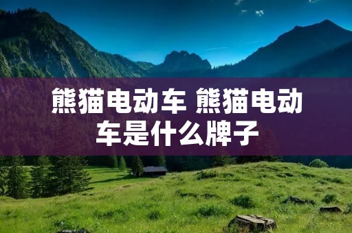 熊猫电动车 熊猫电动车是什么牌子 熊猫电动车 熊猫电动车是什么牌子