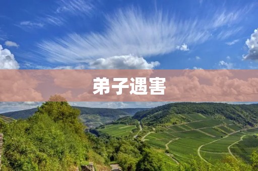 **遇害：一场血腥的惨案