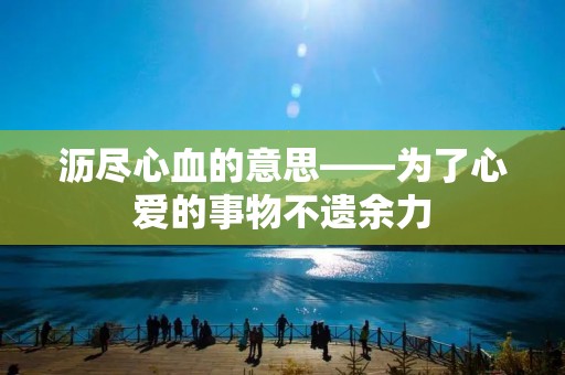沥尽心血的意思——为了心爱的事物不遗余力