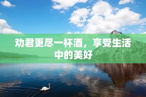 劝君更尽一杯酒,享受生活中的美好